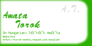 amata torok business card